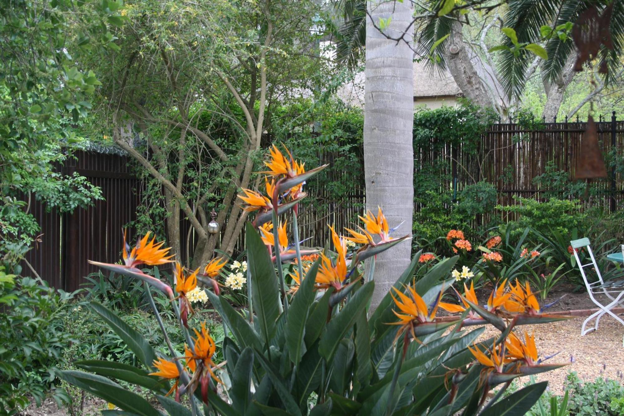 Tortelduif Cottage Stellenbosch Exterior photo